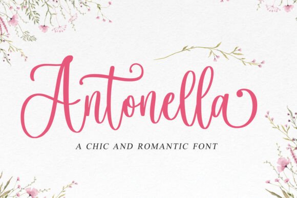 Download Antonella - Premium Resources